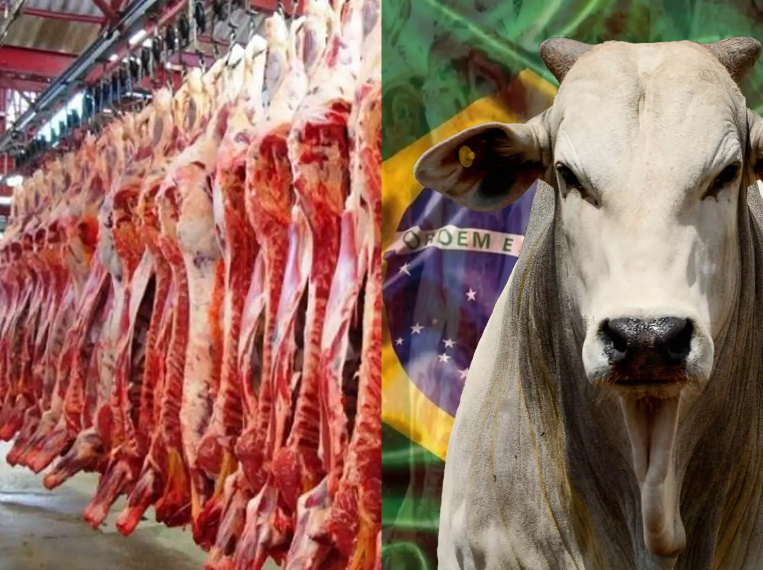 Beef
