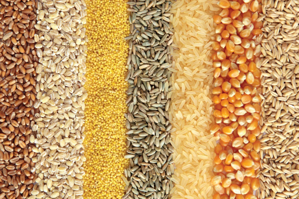 Grain and cereal commodities